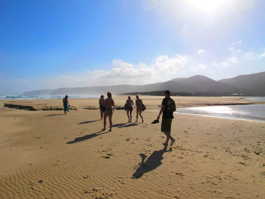 From Cape Town: 7-Day Garden Route, Addo and Winelands Combo - Wilderness, Tsitsikamma Entry, and the Heads Viewpoint