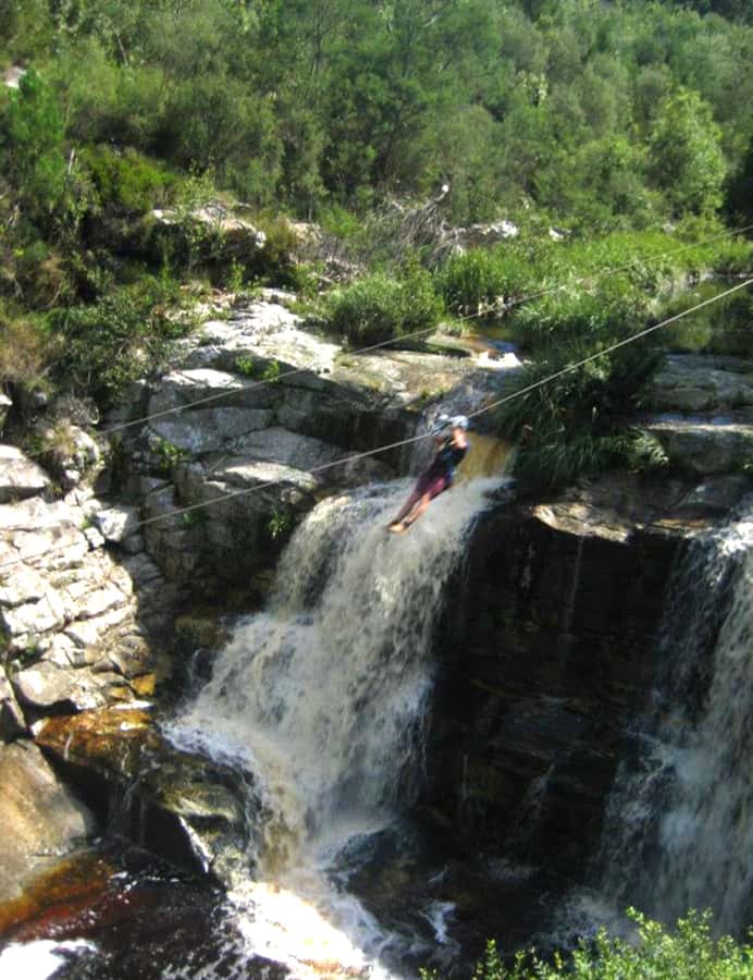 From Cape Town: 7-Day Garden Route, Addo and Winelands Combo - Price and Value: What You’re Really Paying For