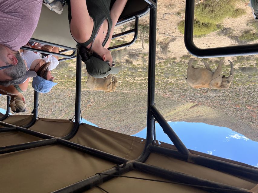 From Cape Town: Big Five Safari Experience with Lunch - Who this tour suits best, and who might want a different style