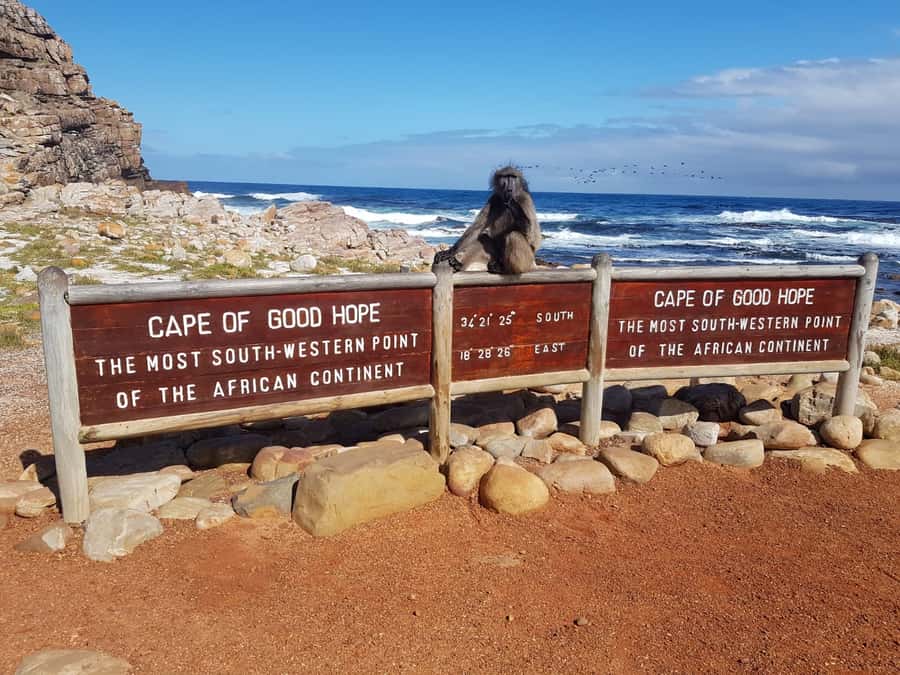 From Cape Town: Cape Point and Boulders Beach Full-Day Tour - Cape of Good Hope: The Meeting-Point Feeling and the Optional Hike