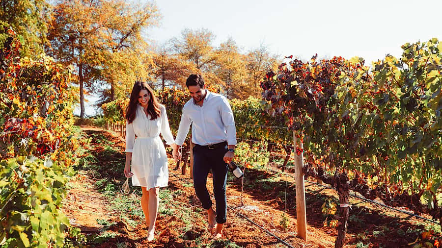 From Cape Town: Cape Winelands Full-Day Private Tour - Key Highlights Worth Getting Excited About