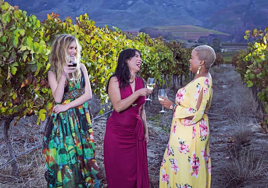 From Cape Town: Cape Winelands Full-Day Private Tour - Delaire Graff Finish: The Big Finale Winery Stop