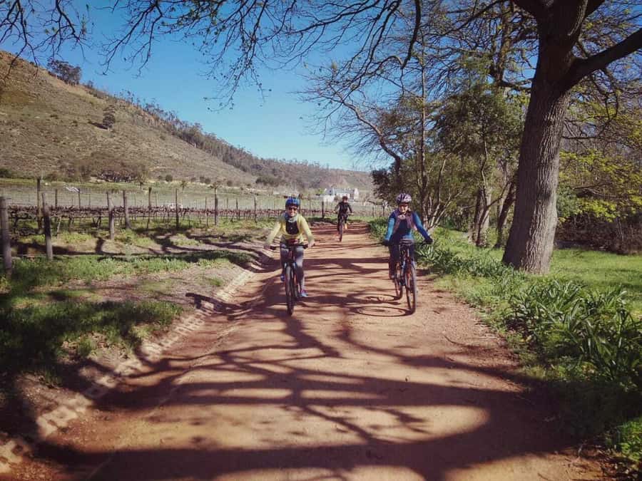 From Cape Town: Franschhoek Vineyards Bike Tour with Lunch - Why This Franschhoek Bike And Winery Day Works So Well