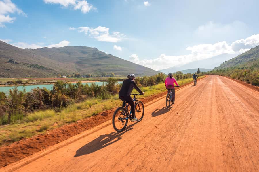 From Cape Town: Franschhoek Vineyards Bike Tour with Lunch - The Huguenot Connection: From First Cultivation To The Huguenot Memorial