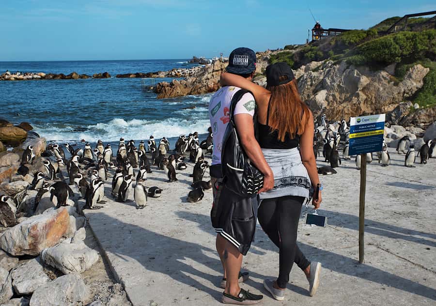 From Cape Town: Full-Day Cape Agulhas Private Tour - A private 10-hour road trip with a clear purpose: Cape Agulhas