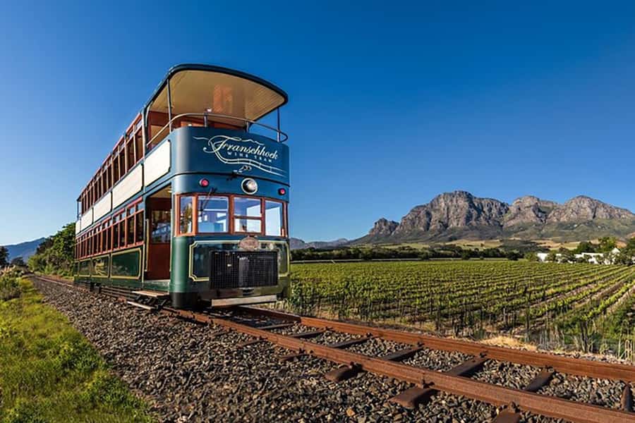 From Cape Town: Full-Day Cape Winelands Taste Tour + Tram - Key Points You’ll Care About