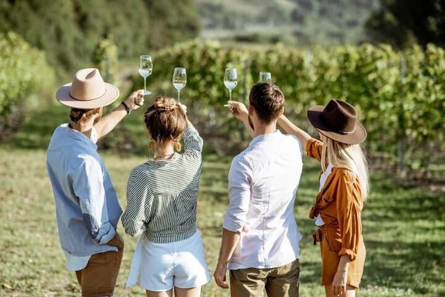 From Cape Town: Full-Day Cape Winelands Taste Tour + Tram - The Stellenbosch and Paarl Leg: Cape Dutch Winery Atmosphere