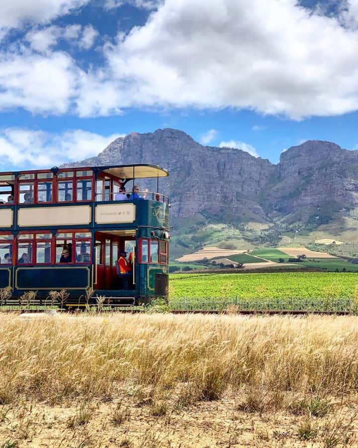 From Cape Town: Full-Day Cape Winelands Taste Tour + Tram - Fairview Farmer Tasting: Cheese Pairing That Actually Teaches You