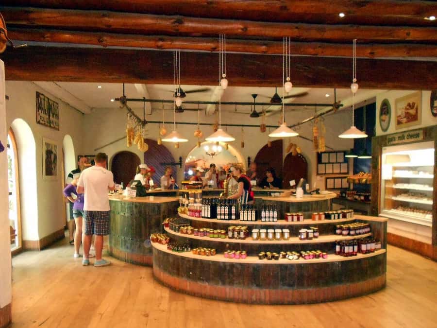 From Cape Town: Full-Day Cape Winelands Taste Tour + Tram - Rickety Bridge Winery (or Similar): A Clean 4-Wine Tasting Format
