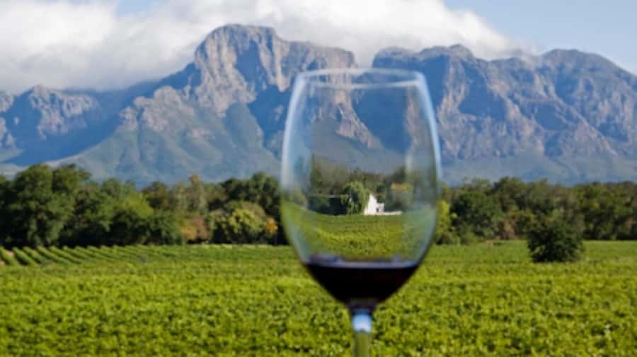 From Cape Town: Full-Day Cape Winelands Taste Tour + Tram - Muratie Winery: The Old-Farm Port-Style Finish