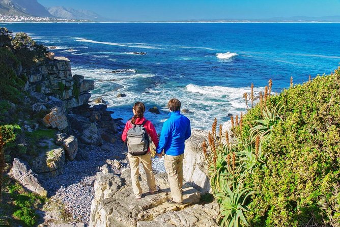 From Cape Town: Full Day Guided Hermanus and Whale Tour - Coastal Drive Energy: Why This Hermanus Trip Works as a Full-Day Plan