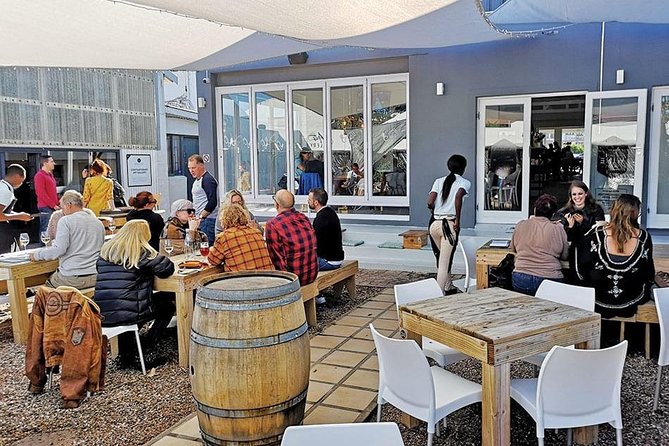 From Cape Town: Full Day Guided Hermanus and Whale Tour - Hermanus New Harbour: The Whale Cruise Option and the Shore Plan B