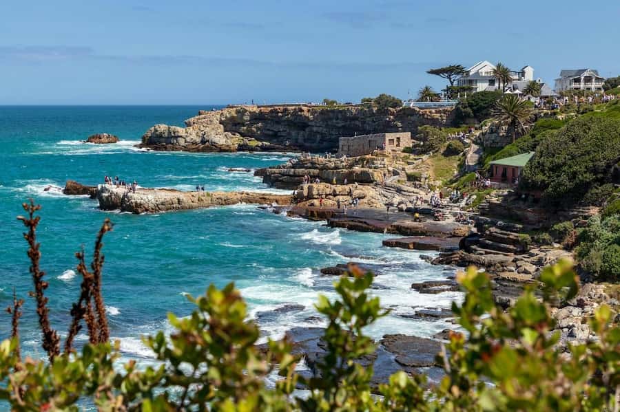 From Cape Town: Full Day Hermanus Whale Watching Tour - Hermanus From Cape Town, shore-level whale watching that feels close