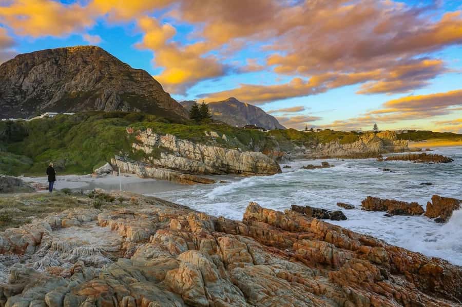 From Cape Town: Full Day Hermanus Whale Watching Tour - Sunday penguins at Stony Point, when timing lets you go