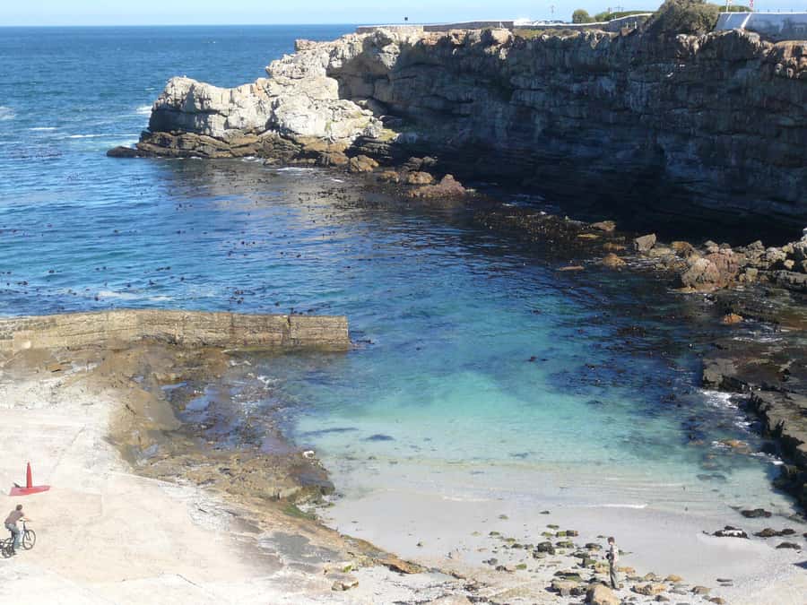 From Cape Town: Full Day Hermanus Whale Watching Tour - Price and value: what is included, what costs extra