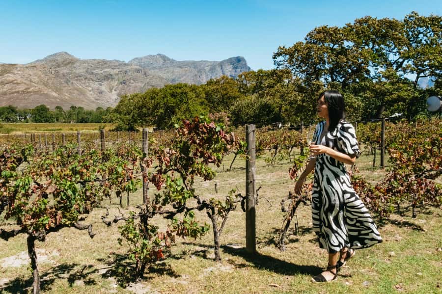 From Cape Town: Full Day Winelands Tour with wine tastings - Paarl first: vineyard views and the Mandela story near Groot Drakenstein