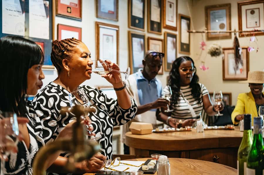 From Cape Town: Full Day Winelands Tour with wine tastings - Group size and pacing: where the day feels great, and where it tightens up