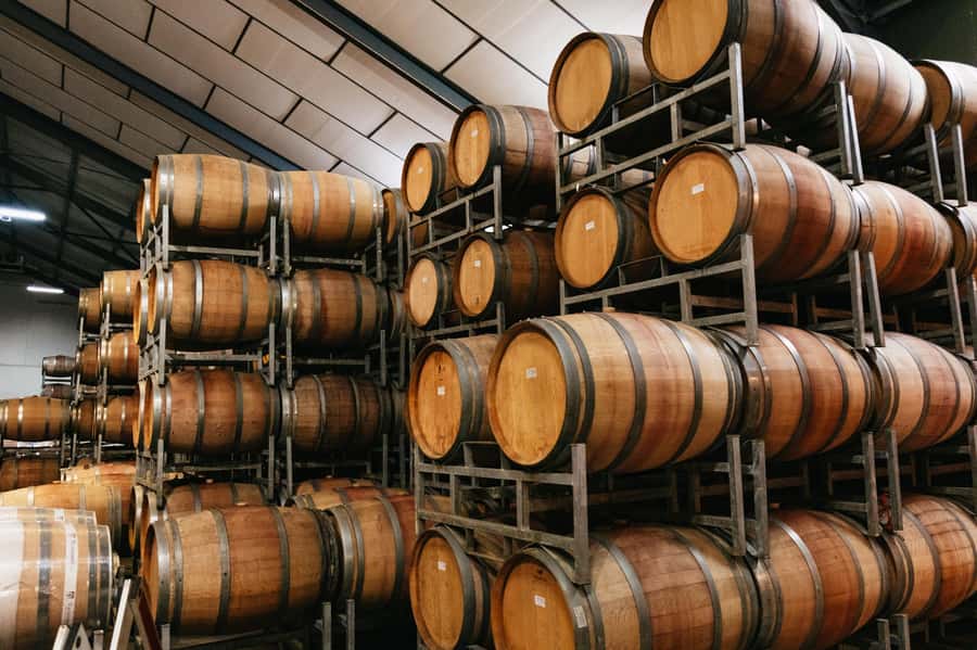 From Cape Town: Full Day Winelands Tour with wine tastings - What to pack for 8.5 hours of sun, walking, and tastings
