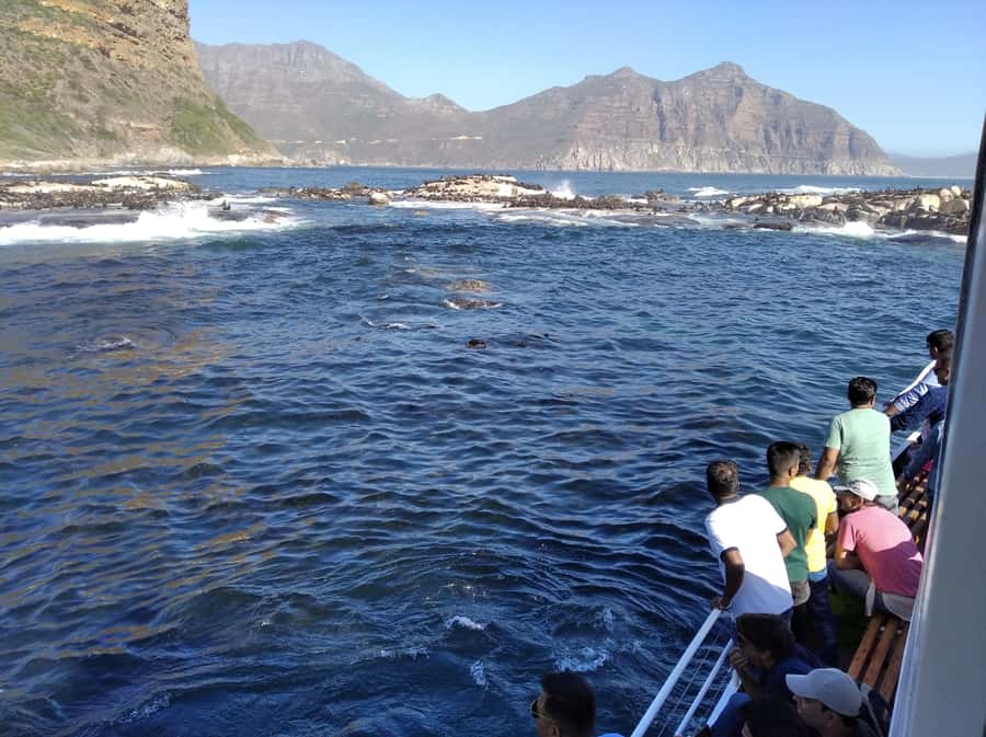 From Cape Town: Glass-Bottom Boat Seal Watching Tour - Should You Book This Seal Watching Cruise?