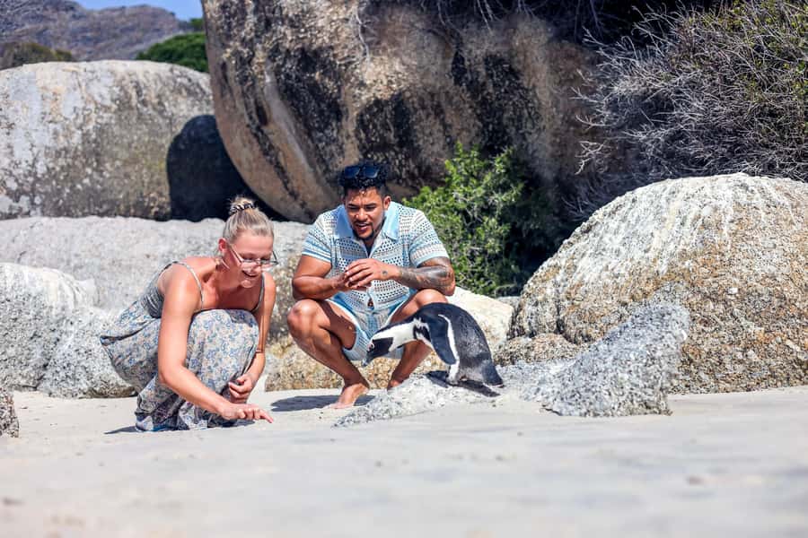 From Cape Town: Half-Day Boulders Beach and Penguins Tour - What You’ll Actually See (And Why It Works)