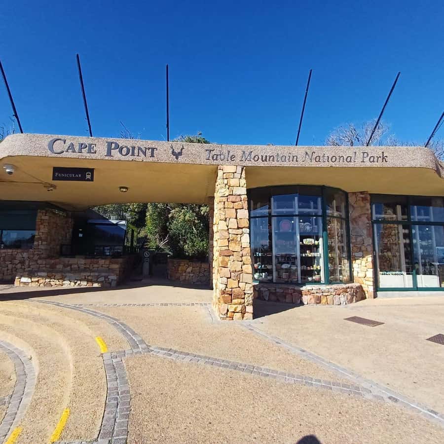 From Cape Town: Half Day Cape Point & Penguins Tour - Why Cape Point and Boulders Beach work as a half-day plan