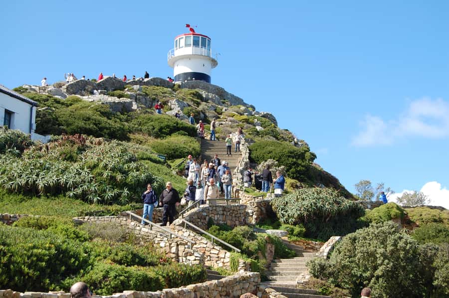 From Cape Town: Half Day Cape Point & Penguins Tour - Pickup in central Cape Town: quick start, organized flow