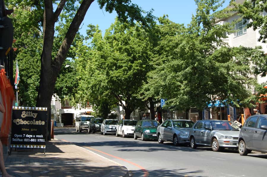 From Cape Town: Half Day Winelands Tour with winetasting - Small group up to 11: how the vibe usually feels