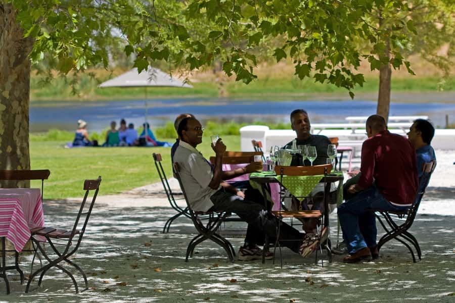 From Cape Town: Half Day Winelands Tour with winetasting - Pickup timing from Cape Town: plan for a 1:30 PM start