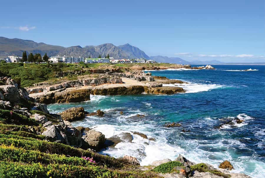 From Cape Town: Hermanus Whale Watching Full Day Tour - Why Hermanus Works for Whale Watching From Land