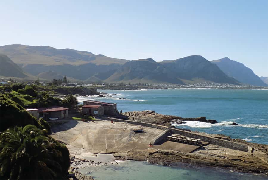 From Cape Town: Hermanus Whale Watching Full Day Tour - Optional Whale Sightseeing Cruise: How to Reduce Your Risk of Missing the Boat