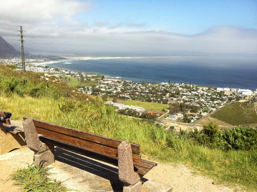 From Cape Town: Hermanus Whale Watching Full Day Tour - Price and Value: What You’re Actually Paying For