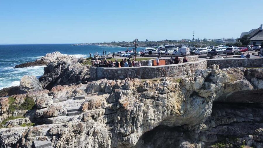 From Cape Town: Hermanus Whale Watching Tour with Boat Trip - The Boat Trip: Seeing Whales Up Close (Without the Chaos)