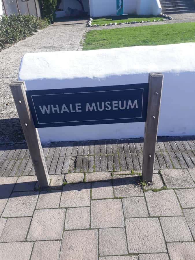 From Cape Town: Hermanus Whale Watching Tour with Transfer - The 2 hour drive on National 2, and why the townships stops matter