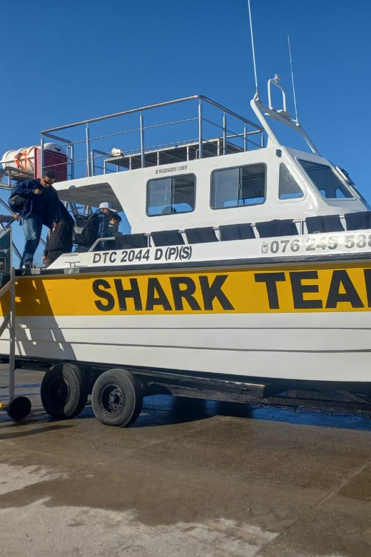 From Cape Town: Shark Cage Diving and Penguin Tour - Stony Point Nature Reserve: the African penguins and the boardwalk walk