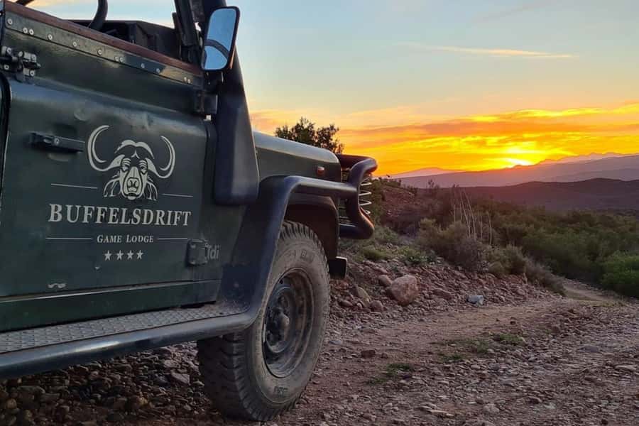 From Cape Town: South African Wildlife and Safari 2-Day Tour - Key things that make this tour worth your attention