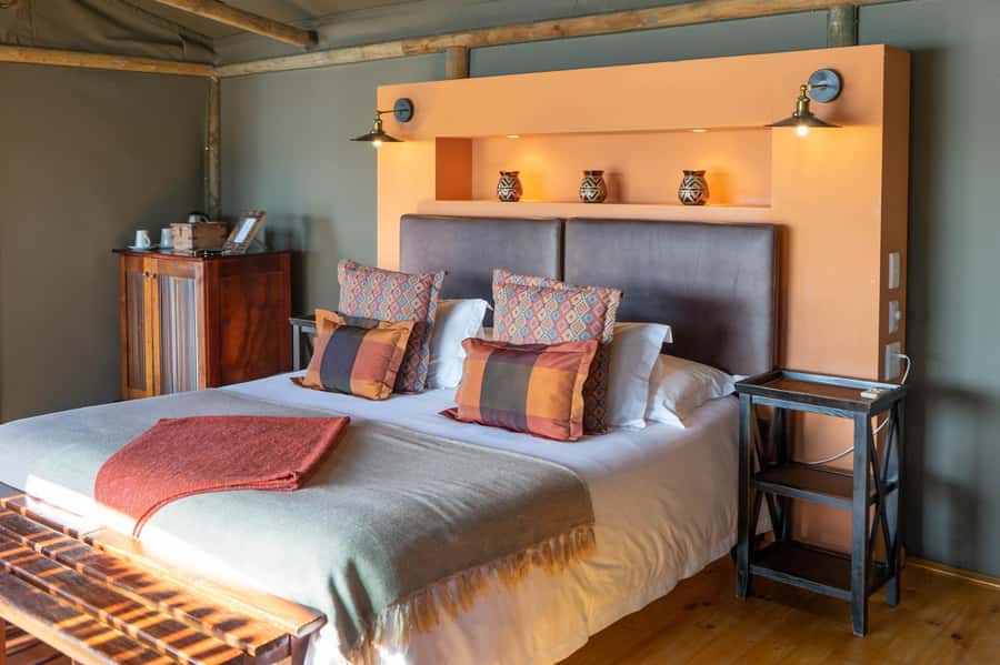 From Cape Town: South African Wildlife and Safari 2-Day Tour - Oudtshoorn on day one: ostriches, starry skies, and an easy dinner plan