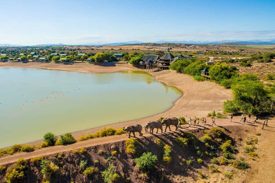 From Cape Town: South African Wildlife and Safari 2-Day Tour - Where you sleep in Oudtshoorn depends on your package