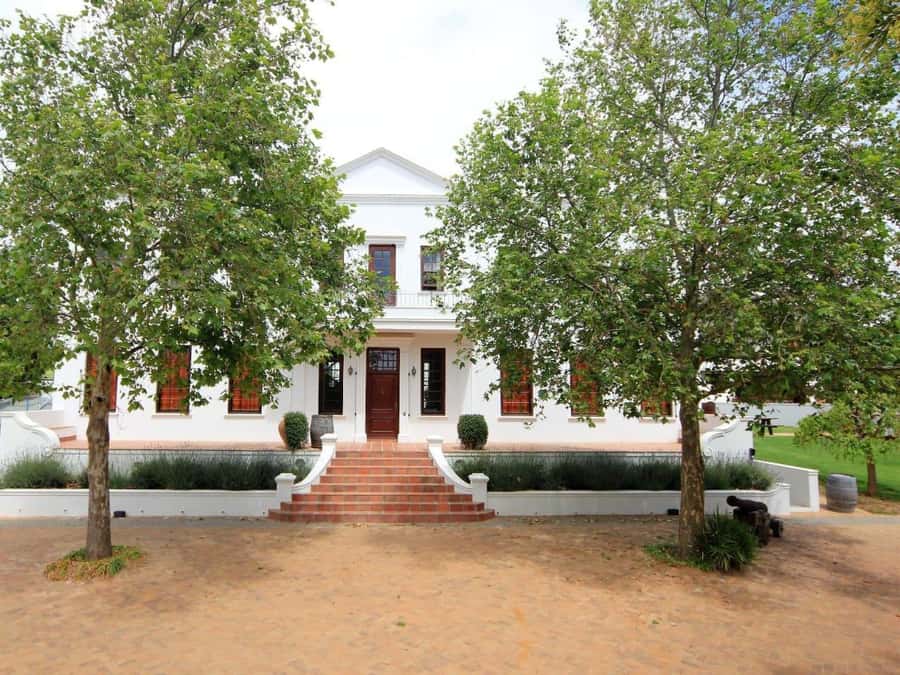 From Cape Town: Stellenbosch Four Estate Full-Day Wine Tour - Estate stop flow: how four different farms make the tastings feel connected