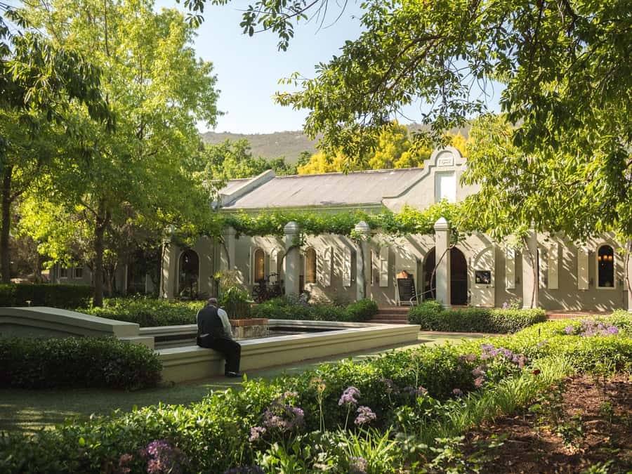 From Cape Town: Stellenbosch Four Estate Full-Day Wine Tour - The guide makes it: humor, real context, and extra help when it counts