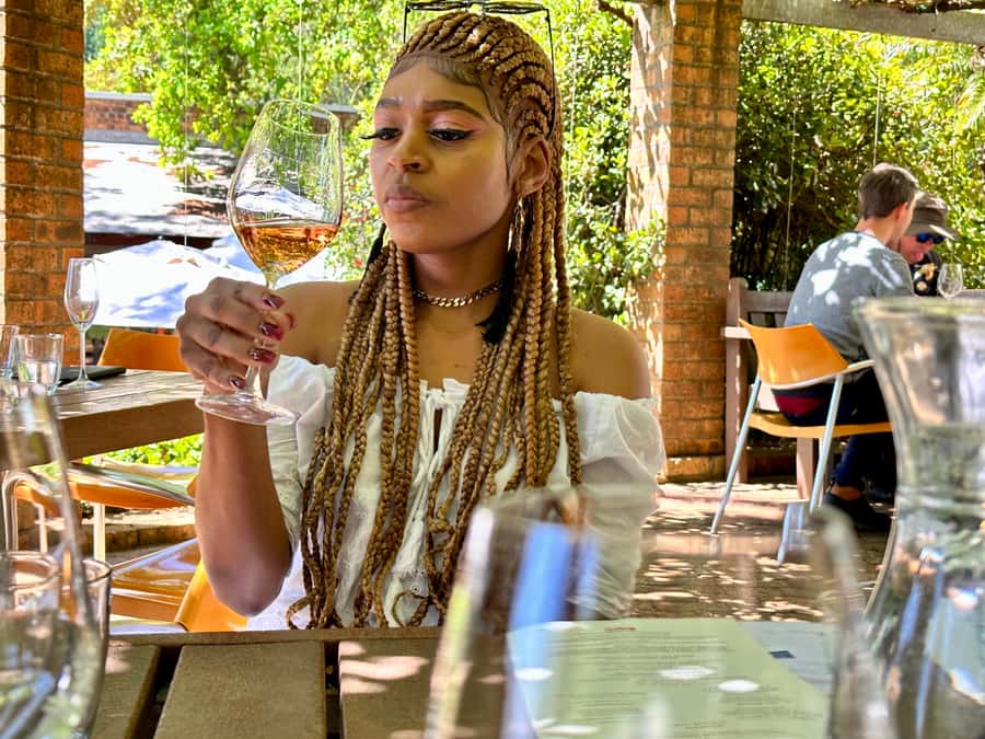 From Cape Town: Stellenbosch & Franschhoek Wine Tasting Tour - 9 hours of logistics that actually help you enjoy the wine