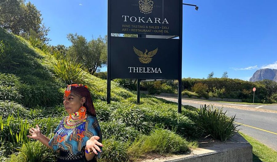 From Cape Town: Stellenbosch & Franschhoek Wine Tasting Tour - Tokara at Helshoogte Pass: a scenic tasting with a white-to-red mix