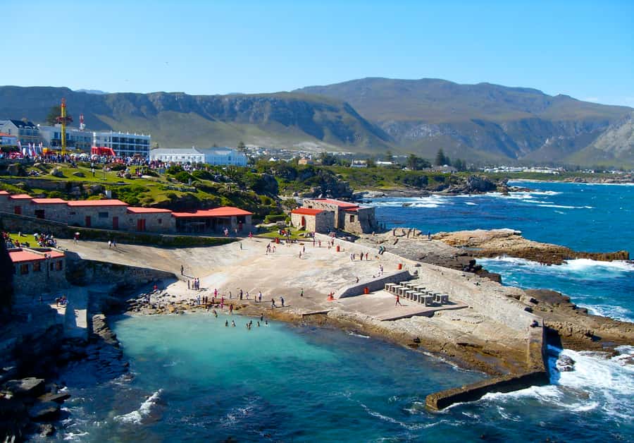 From Cape Town: Whale Watching Tour in Hermanus and Gansbaai - Cape Town to Gansbaai: The drive that makes the whale day worth it