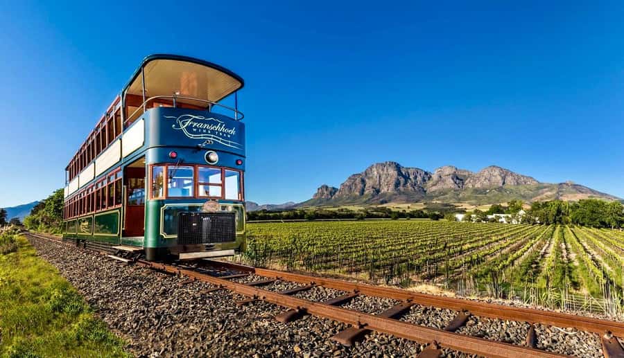From Cape Town: Winelands Full Day Tour and Wine Tasting - From Cape Town to the Winelands: a smooth start, a smart base