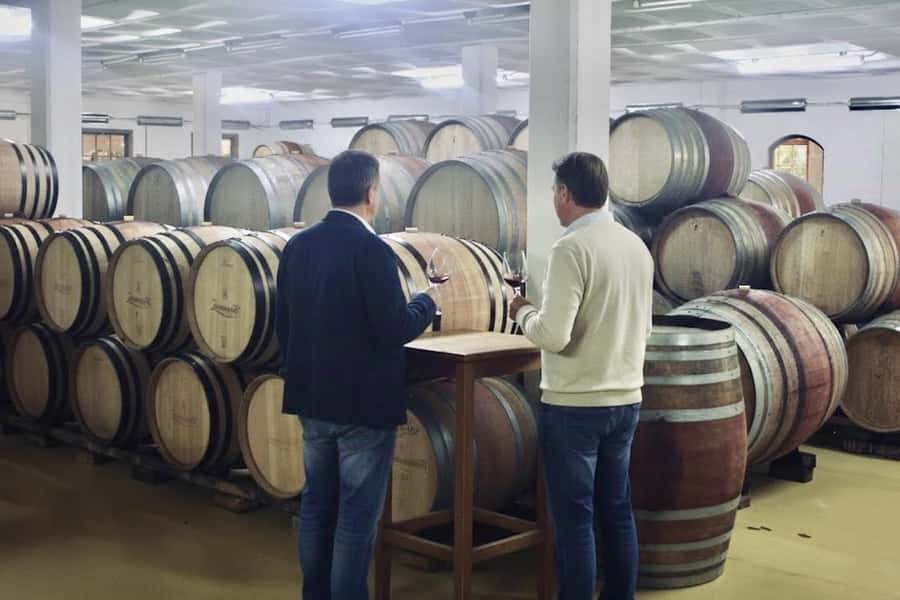 From Cape Town: Winelands Full Day Tour and Wine Tasting - Getting the timing right: starting time is flexible, and weather can surprise you