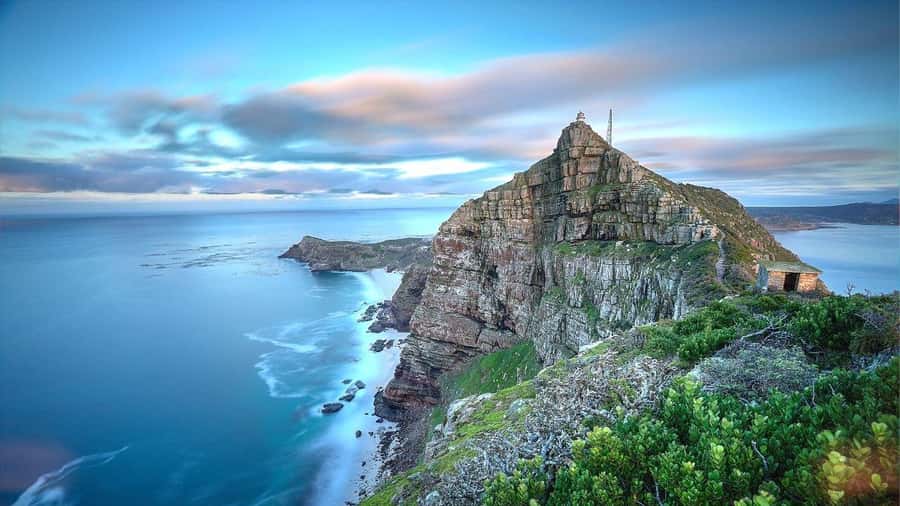From CapeTown:Full Day Tour to Cape of Good Hope&Cape Point - What Makes the Guides Stand Out (Albert, Jeffrey, Armando, and More)