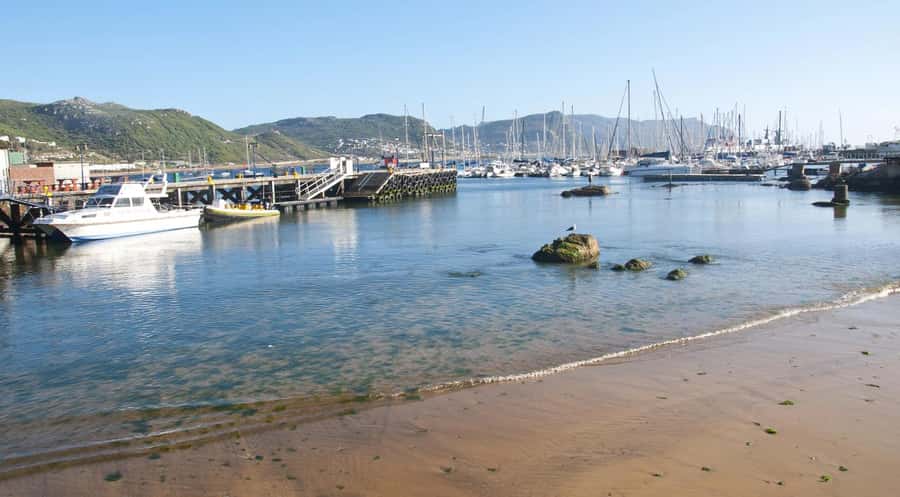 From CapeTown:Full Day Tour to Cape of Good Hope&Cape Point - Hout Bay and the Seals Boat Option at Duiker Island
