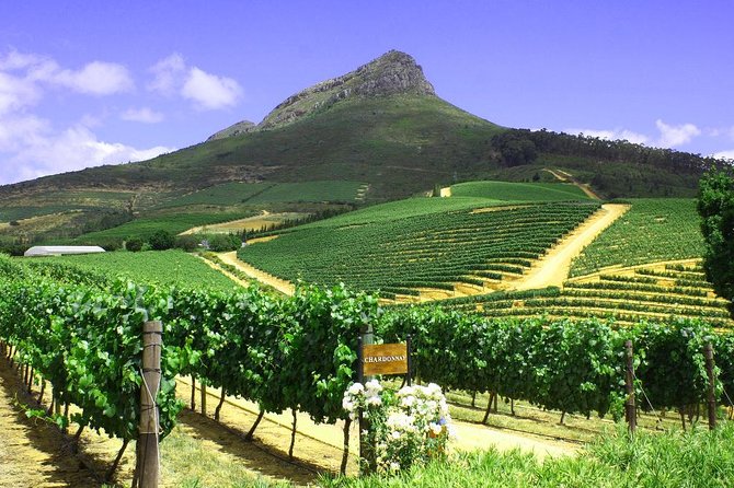 From CapeTown: Stellenbosch Half Day Wine Tour - Time, group size, and the reality of a half-day schedule
