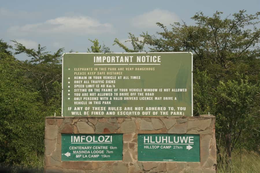 From Durban: Hluhluwe Imfolozi Game Reserve Day Trip - Optional Emtoneni Wild Cat Sanctuary: a good add-on if you like animals