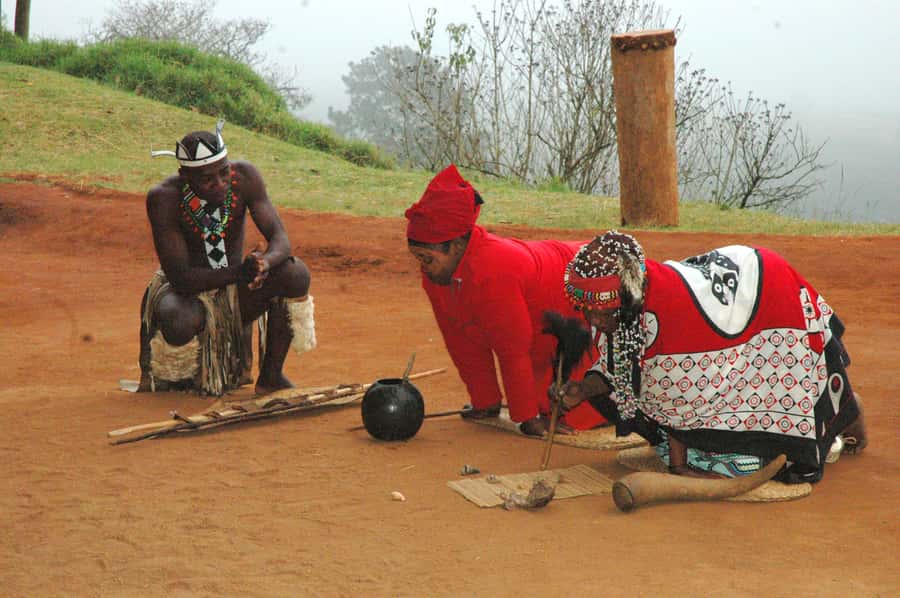 From Durban: Safari & PheZulu Village Day Tour - What the 8 Hours Really Feels Like: Timing, Weather, and Comfort
