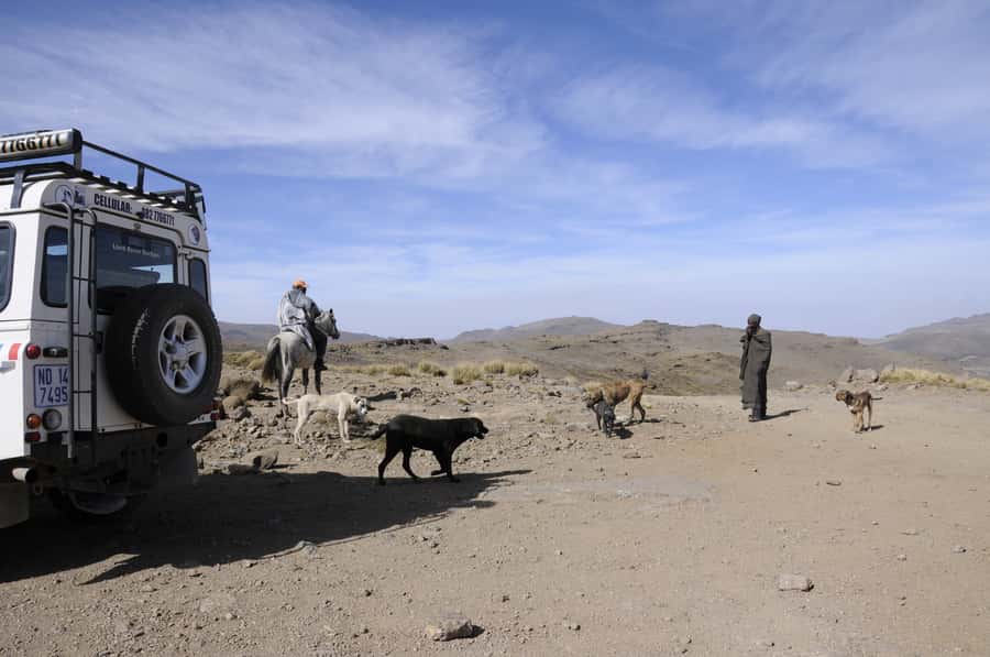 From Durban: Sani Pass and Lesotho by 4WD Vehicle - Should you book this Durban to Sani Pass and Lesotho 4WD day trip?